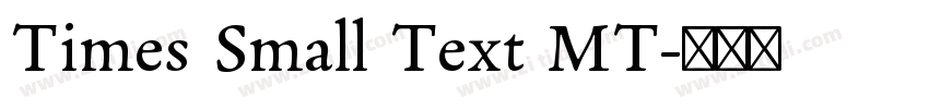 Times Small Text MT字体转换